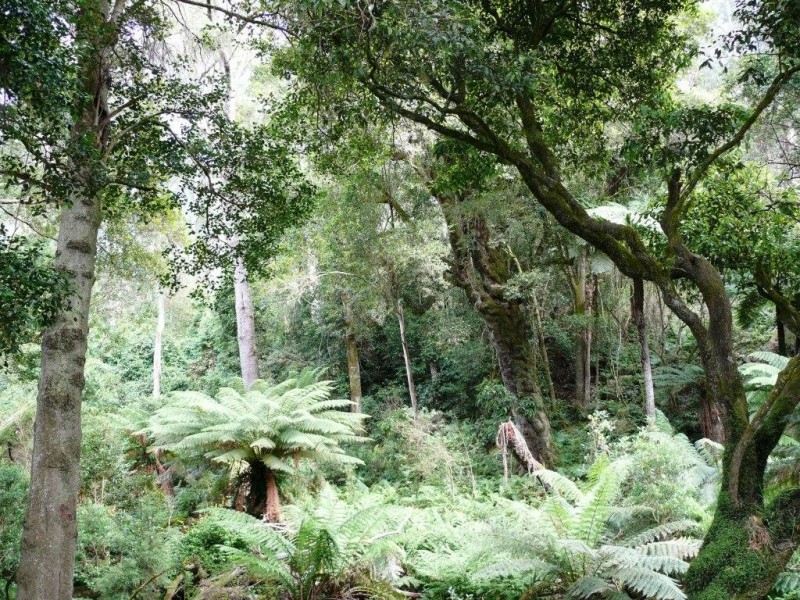 Lot 2, 371  CLUB TERRACE LOOP ROAD, Club Terrace VIC 3889