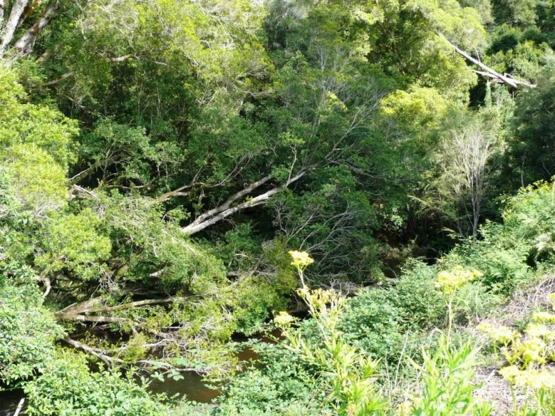 Lot 2, 371  CLUB TERRACE LOOP ROAD, Club Terrace VIC 3889