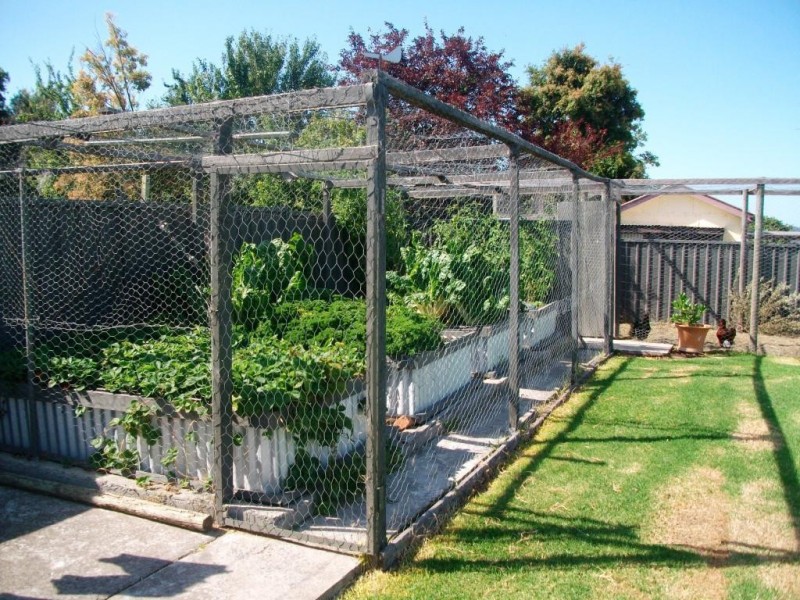 12 WILSON STREET, Orbost VIC 3888