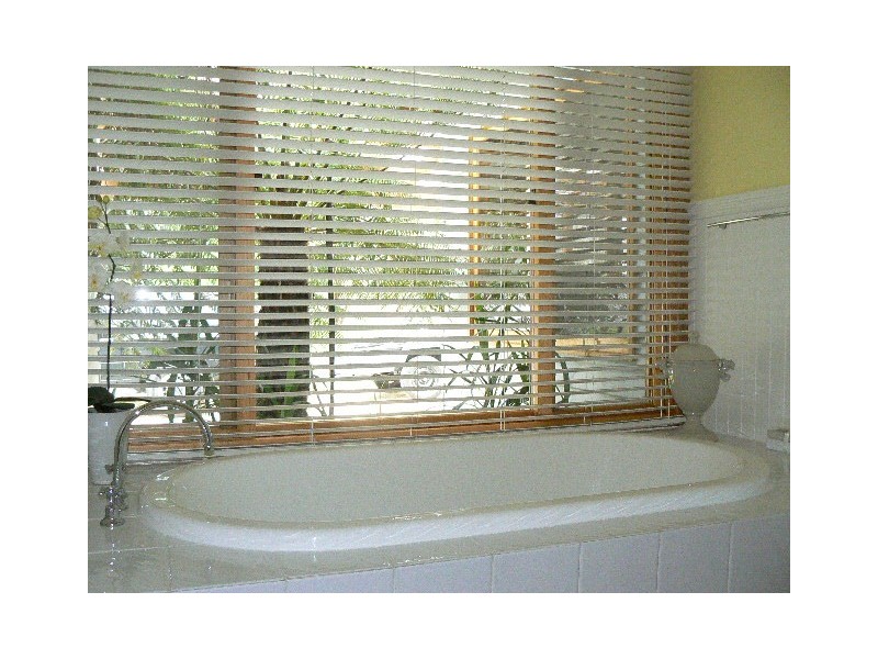 3991 PRINCES HIGHWAY WOMBAT CREEK, Orbost VIC 3888