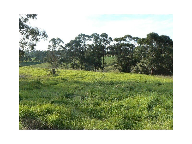 53 MAWSON STREET, Orbost VIC 3888