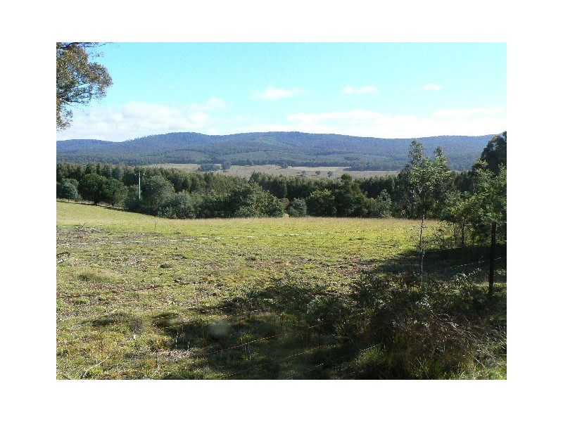 150 LEGGE ROAD, Bendoc VIC 3888