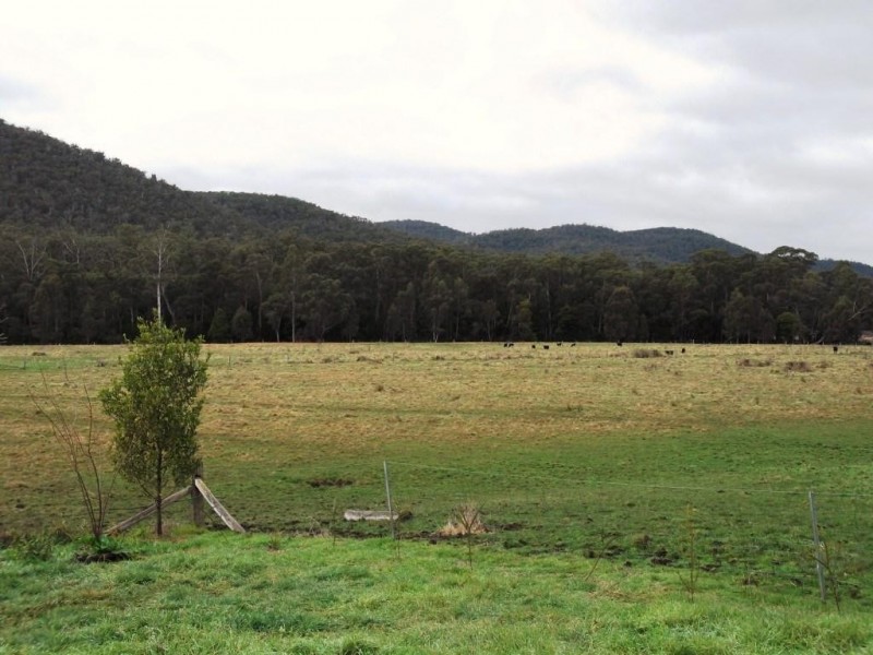 1153 BULDAH ROAD, Buldah VIC 3890