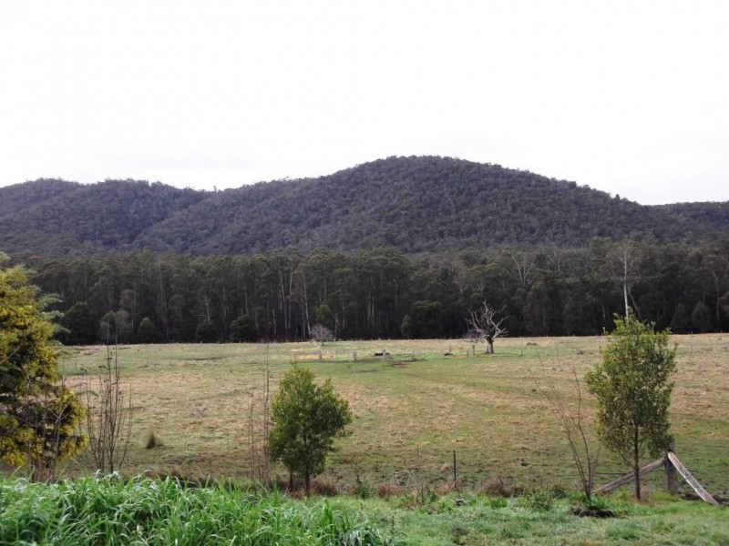 1153 BULDAH ROAD, Buldah VIC 3890