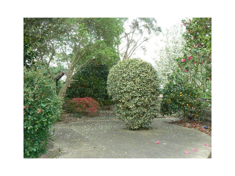 152 GARGANS LANE, Orbost VIC 3888