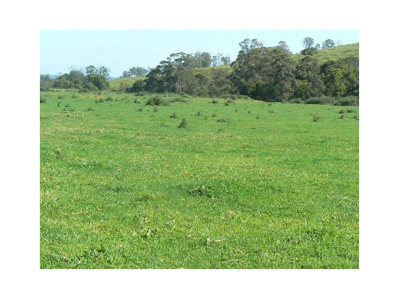 LOT 2 MAJORS CREEK ROAD, Orbost VIC 3888