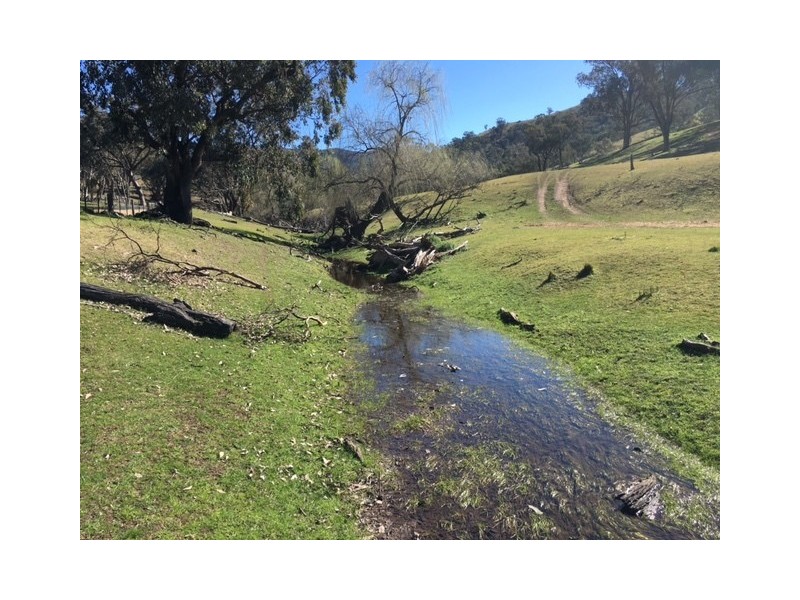 570 Bald Hills Creek Road, Tongio VIC 3896