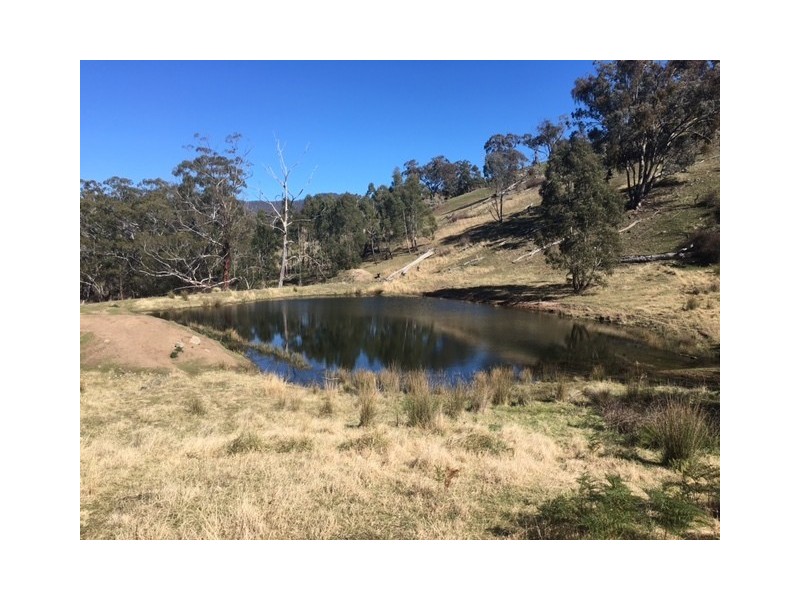 570 Bald Hills Creek Road, Tongio VIC 3896