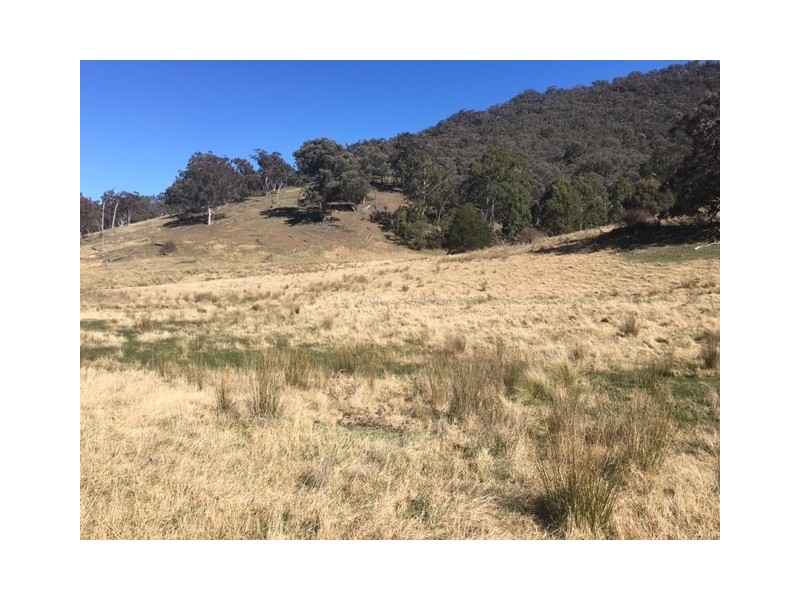 570 Bald Hills Creek Road, Tongio VIC 3896