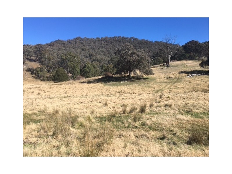 570 Bald Hills Creek Road, Tongio VIC 3896