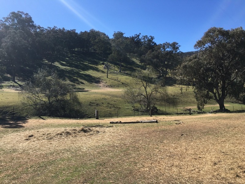 570 Bald Hills Creek Road, Tongio VIC 3896