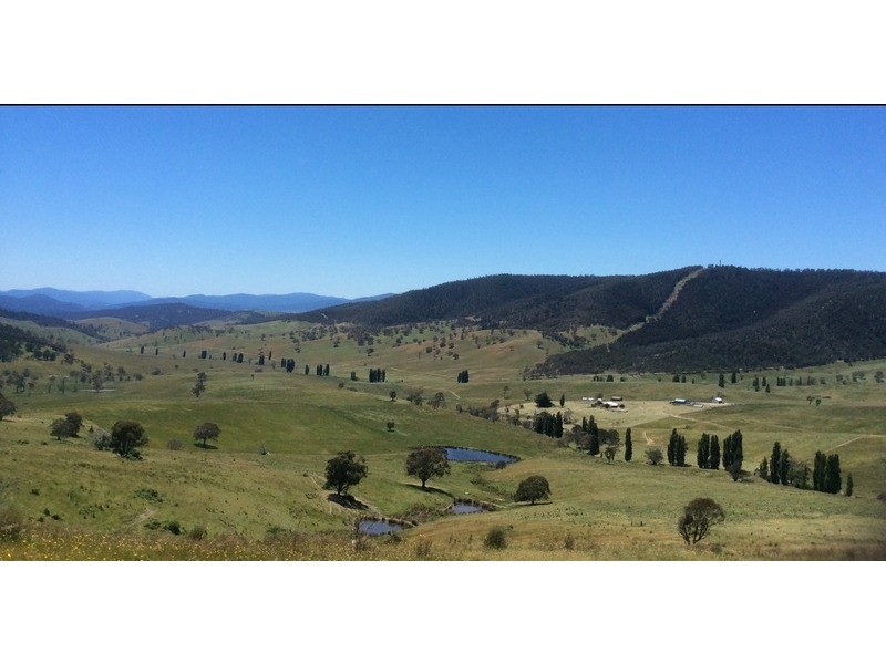 85 Tice’s Road, Omeo VIC 3898