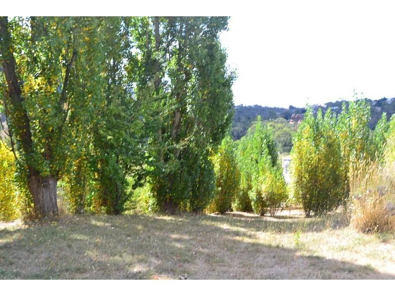 203 Day Avenue, Omeo VIC 3898