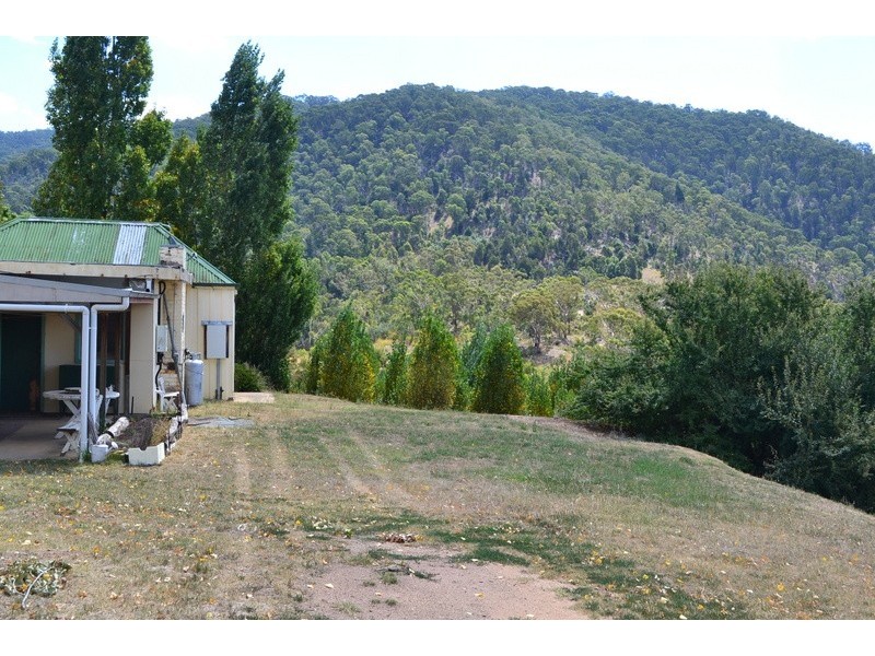 203 Day Avenue, Omeo VIC 3898