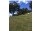 1375 Cassilis Road Cassilis Via, Omeo VIC 3898