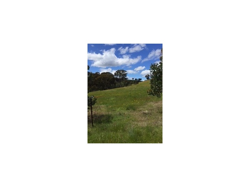 1375 Cassilis Road Cassilis Via, Omeo VIC 3898