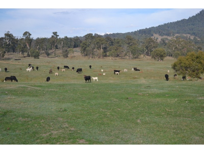 718 McKinnons Road, Benambra VIC 3900