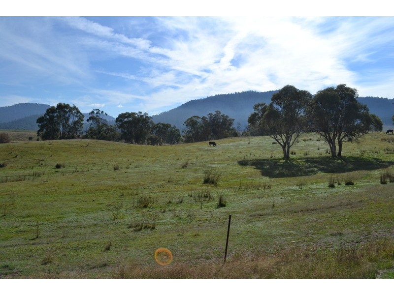 718 McKinnons Road, Benambra VIC 3900