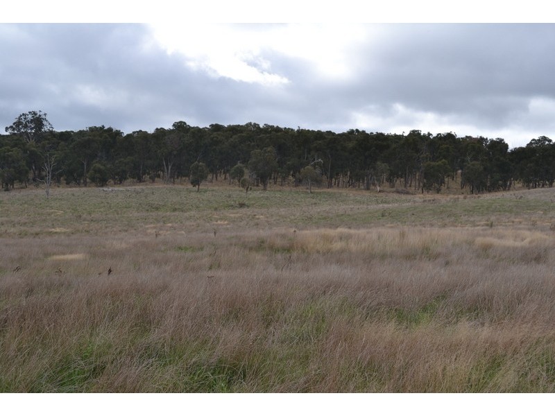 959 Limestone Road, Benambra VIC 3900