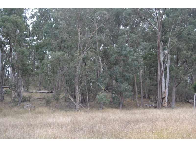 959 Limestone Road, Benambra VIC 3900