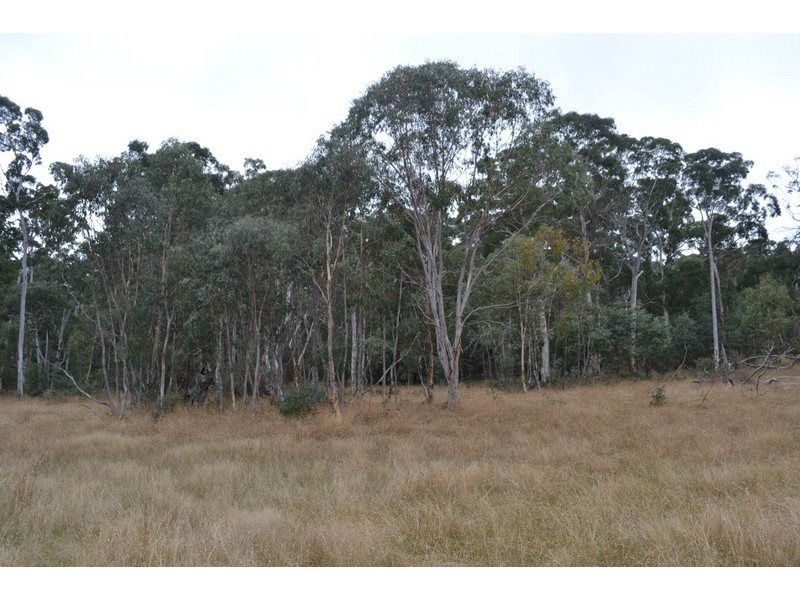 959 Limestone Road, Benambra VIC 3900