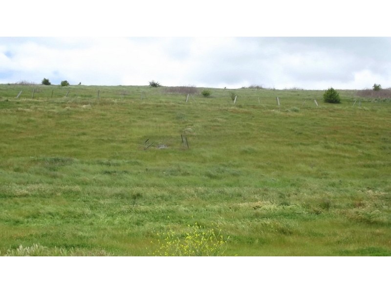 72 Gibbo Street (CA1), Benambra VIC 3900