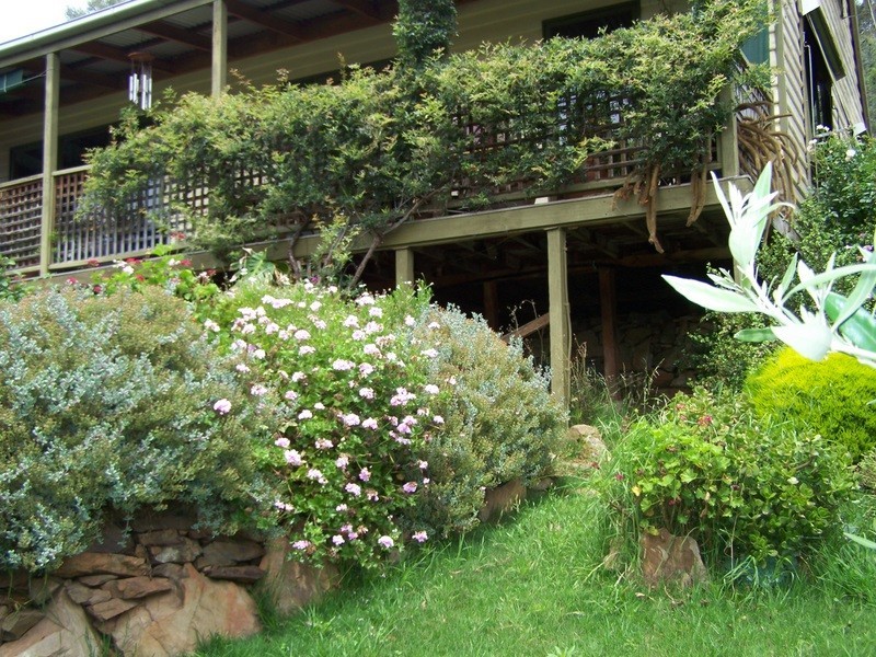 159 Cassilis Road, Swifts Creek VIC 3896