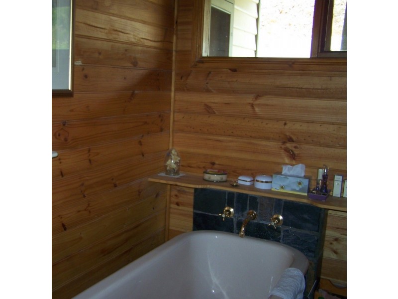 159 Cassilis Road, Swifts Creek VIC 3896