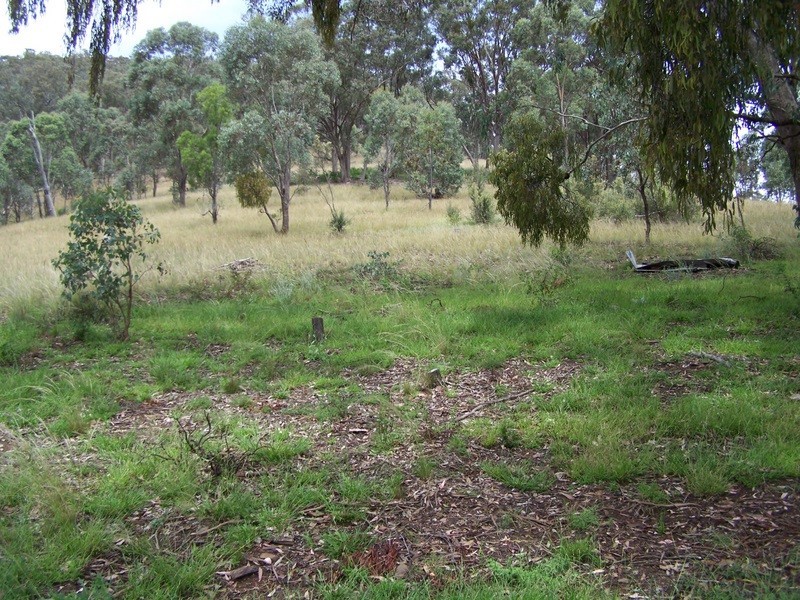 159 Cassilis Road, Swifts Creek VIC 3896