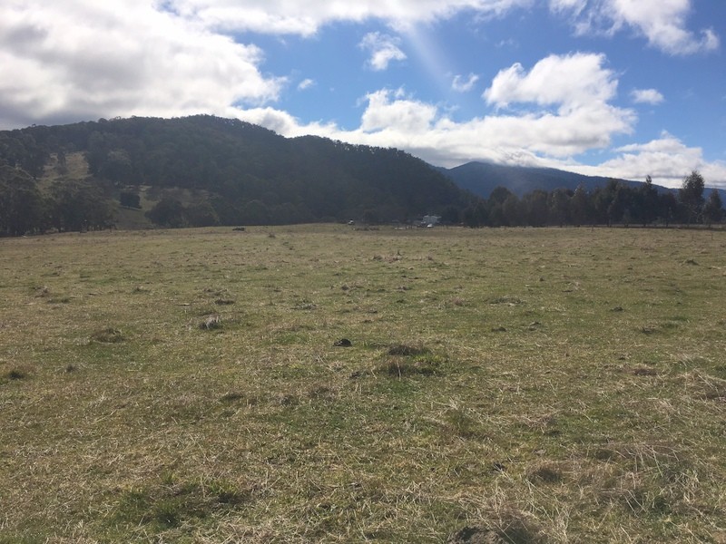70 Snowys Track, Benambra VIC 3900