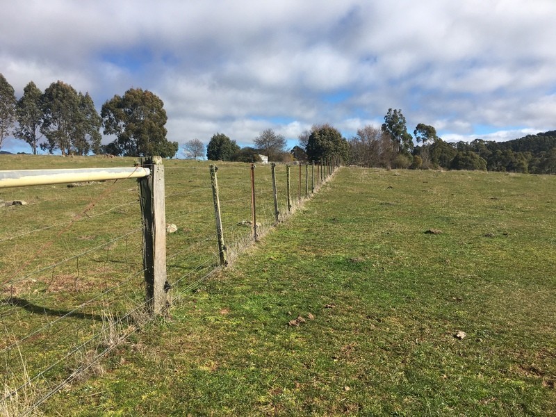 70 Snowys Track, Benambra VIC 3900