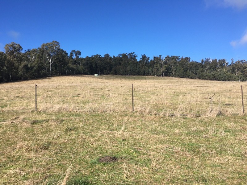 70 Snowys Track, Benambra VIC 3900