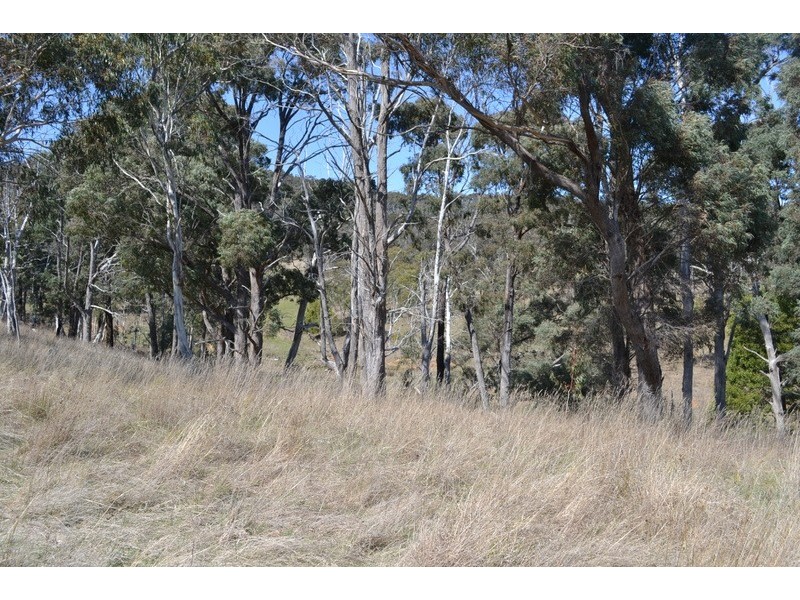169 Porphery Hill Track, Benambra VIC 3900