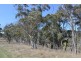169 Porphery Hill Track, Benambra VIC 3900