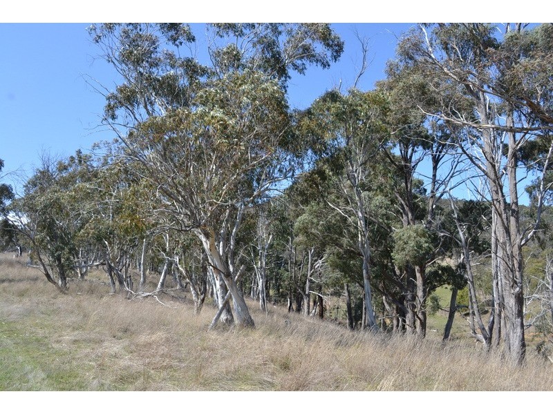 169 Porphery Hill Track, Benambra VIC 3900