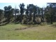 169 Porphery Hill Track, Benambra VIC 3900