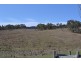 169 Porphery Hill Track, Benambra VIC 3900