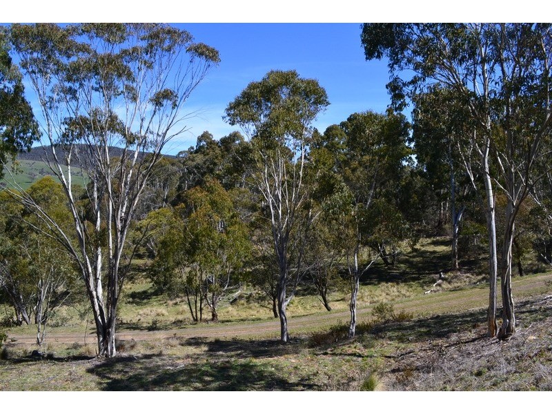 51 Cobungra Road, Cobungra VIC 3898