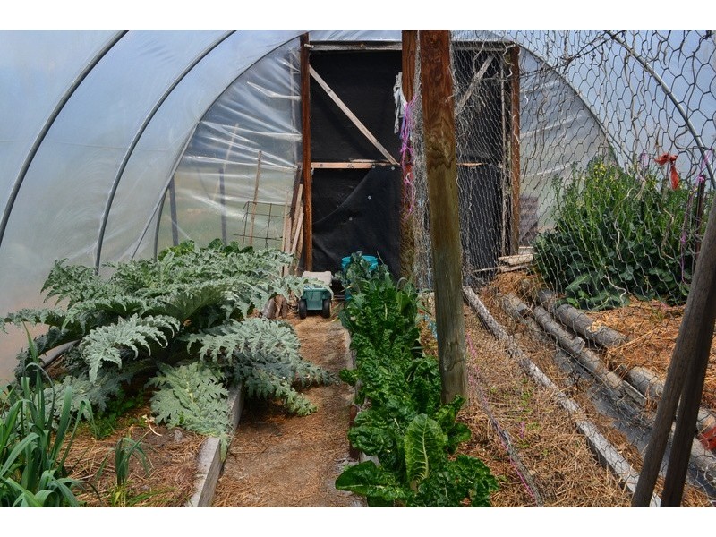 15 Stanley Drive, Omeo VIC 3898