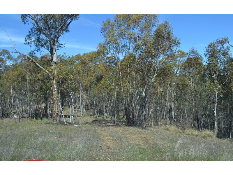 000 Benambra Road, Omeo VIC 3898