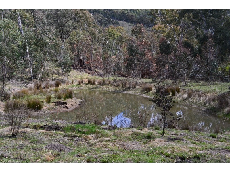 441 Bingo Tice Road, Omeo VIC 3898