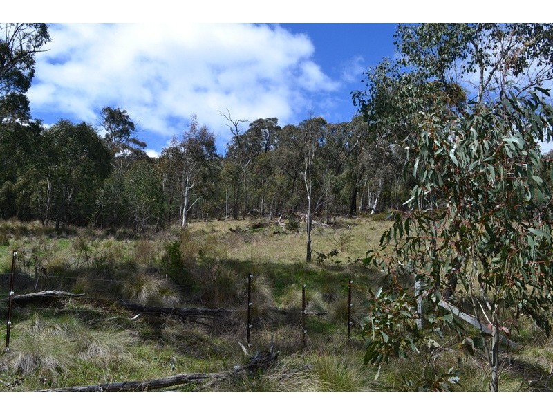 441 Bingo Tice Road, Omeo VIC 3898