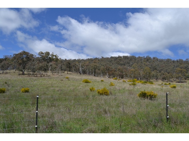 441 Bingo Tice Road, Omeo VIC 3898