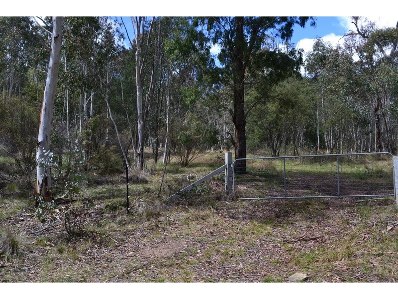 441 Bingo Tice Road, Omeo VIC 3898