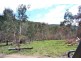 441 Bingo Tice Road, Omeo VIC 3898