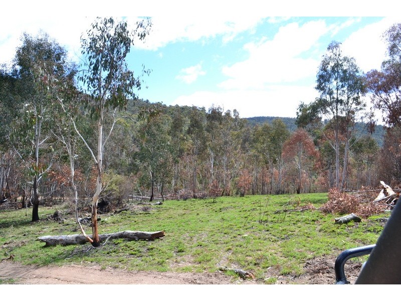 441 Bingo Tice Road, Omeo VIC 3898