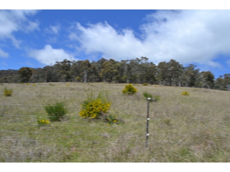 441 Bingo Tice Road, Omeo VIC 3898