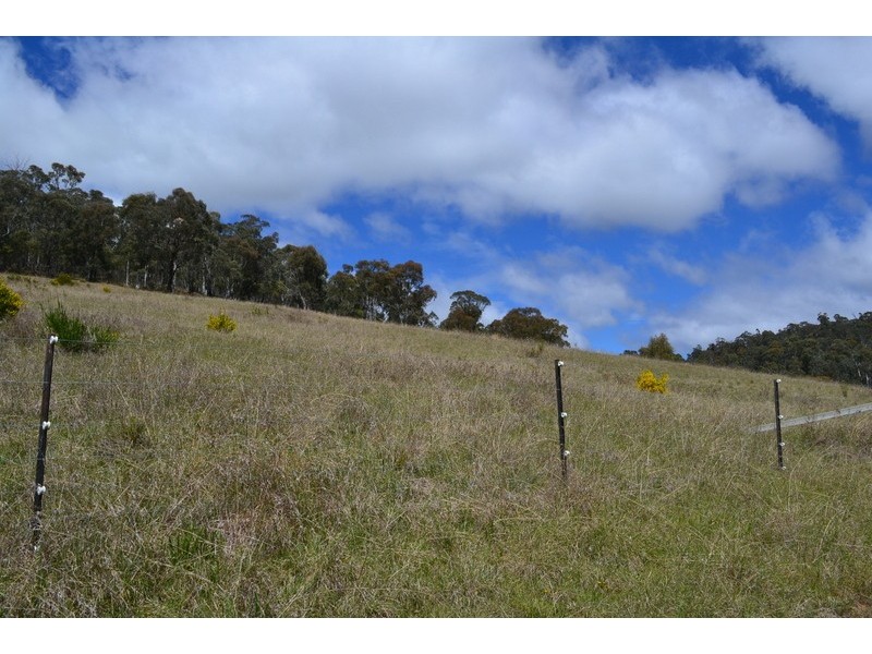 441 Bingo Tice Road, Omeo VIC 3898