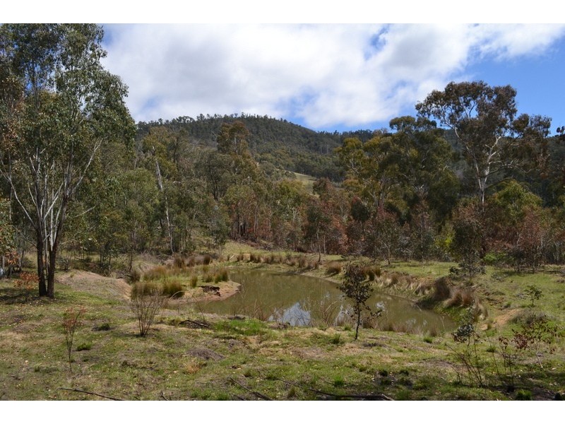 441 Bingo Tice Road, Omeo VIC 3898