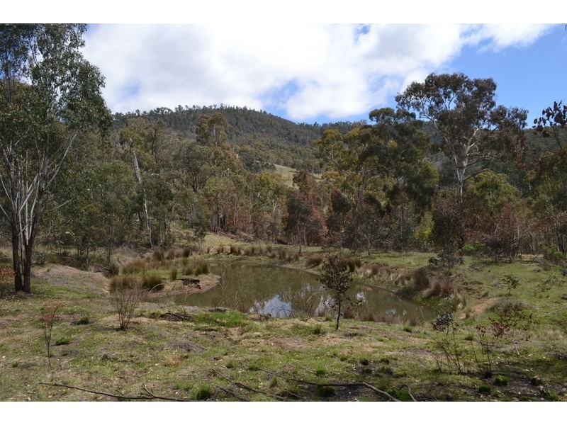 441 Bingo Tice Road, Omeo VIC 3898